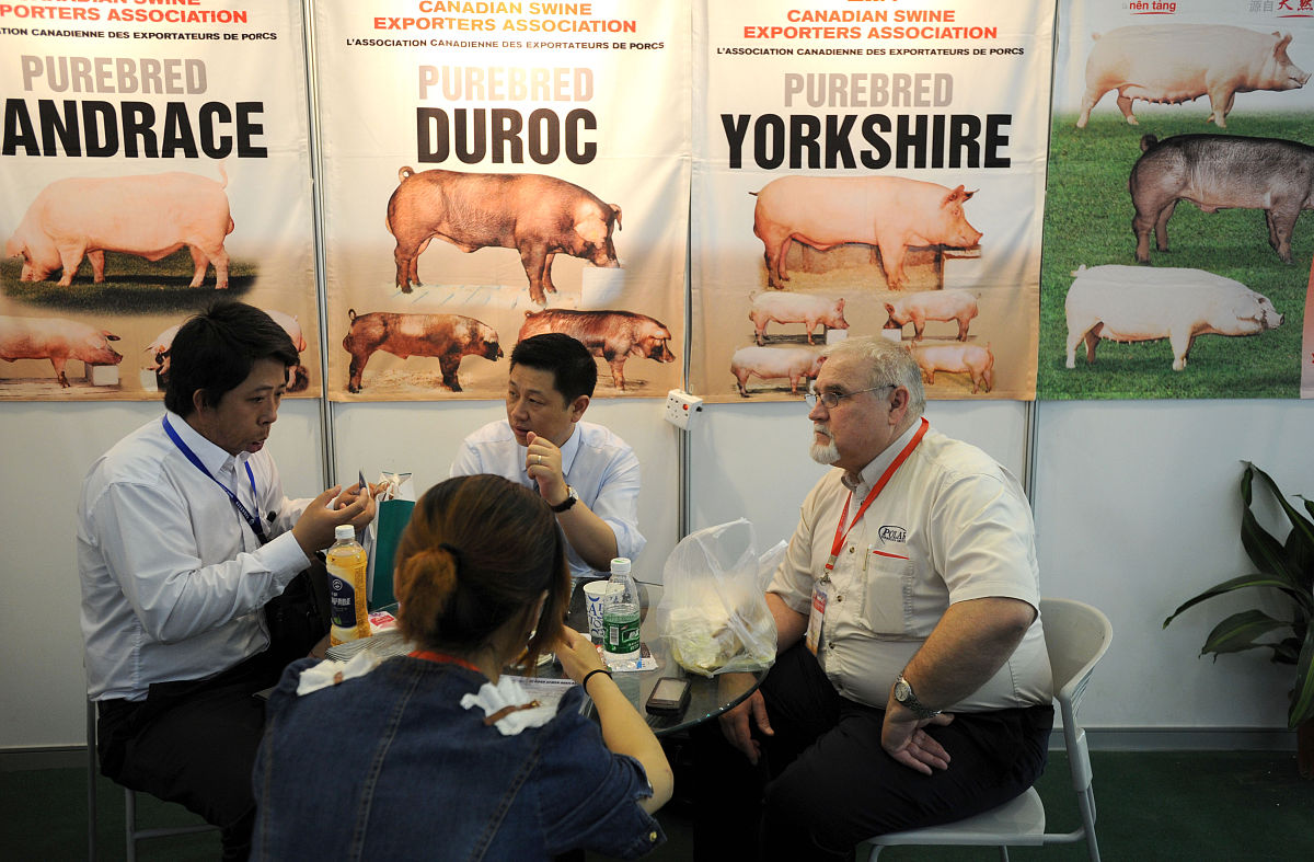 从药物防治方面论述生猪传染性肠胃炎防治主要措施不少于500字。