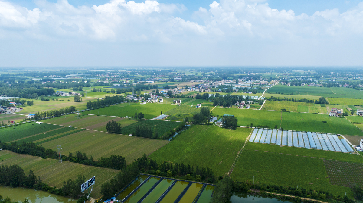 山东乡村振兴：农业大省的振兴之路