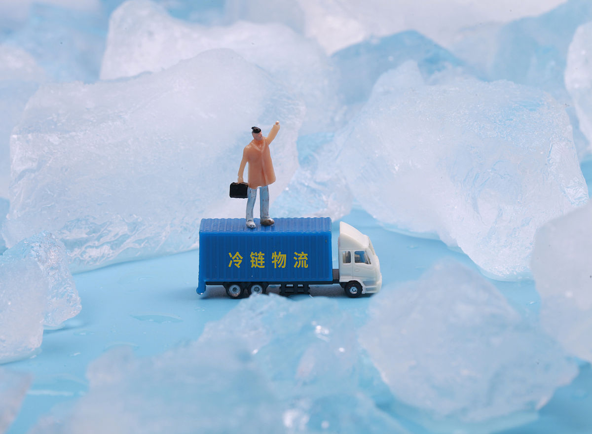 在阅读和收集国内外文献资料发现关于冷链物流发展鲜有学者结合分析其中对物流企业与冷链物流的结合性研究相对不足。针对这一不足本文将以京东公司冷链物流为例结合冷链发展相关理念和国家政策针对该公司的现状与问题对其展开研究分析丰富该领域的研究。。换一种说法