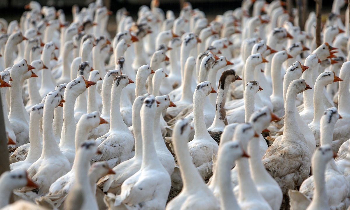 邯郸卫校哪家好？2022年邯郸卫校排名及选择指南