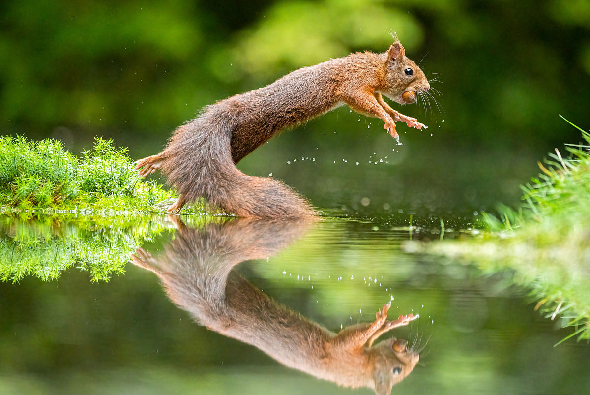 如何在摄影大赛拿奖