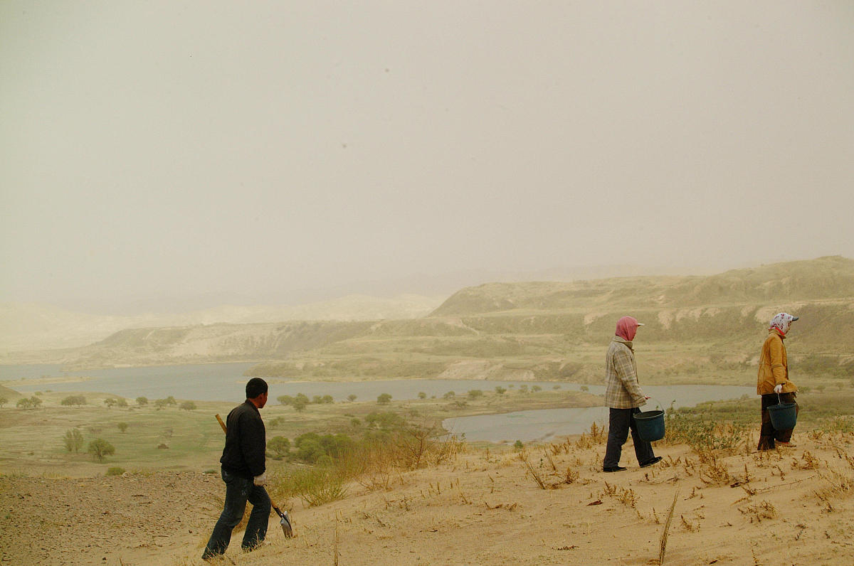 根据下面的内容写一篇1000个字文章3月27日宁夏银川。年过6旬的孙先生在西北种植树木抗沙漠化已经20余年了27日他在网络上发布视频称：自己来种树治沙但一煤矿开矿毁坏了他的水源树木将枯死。对此当地水务公司负责人回应此事称：污水处理系达标但是水的盐分过高不利于浇树。孙先生说：双方有协议承诺供水当时毁坏的水源水质达标不达标的问题应该煤矿方处理希望其按协议正常供水。另据媒体报道：马家滩镇政府一位工作人员