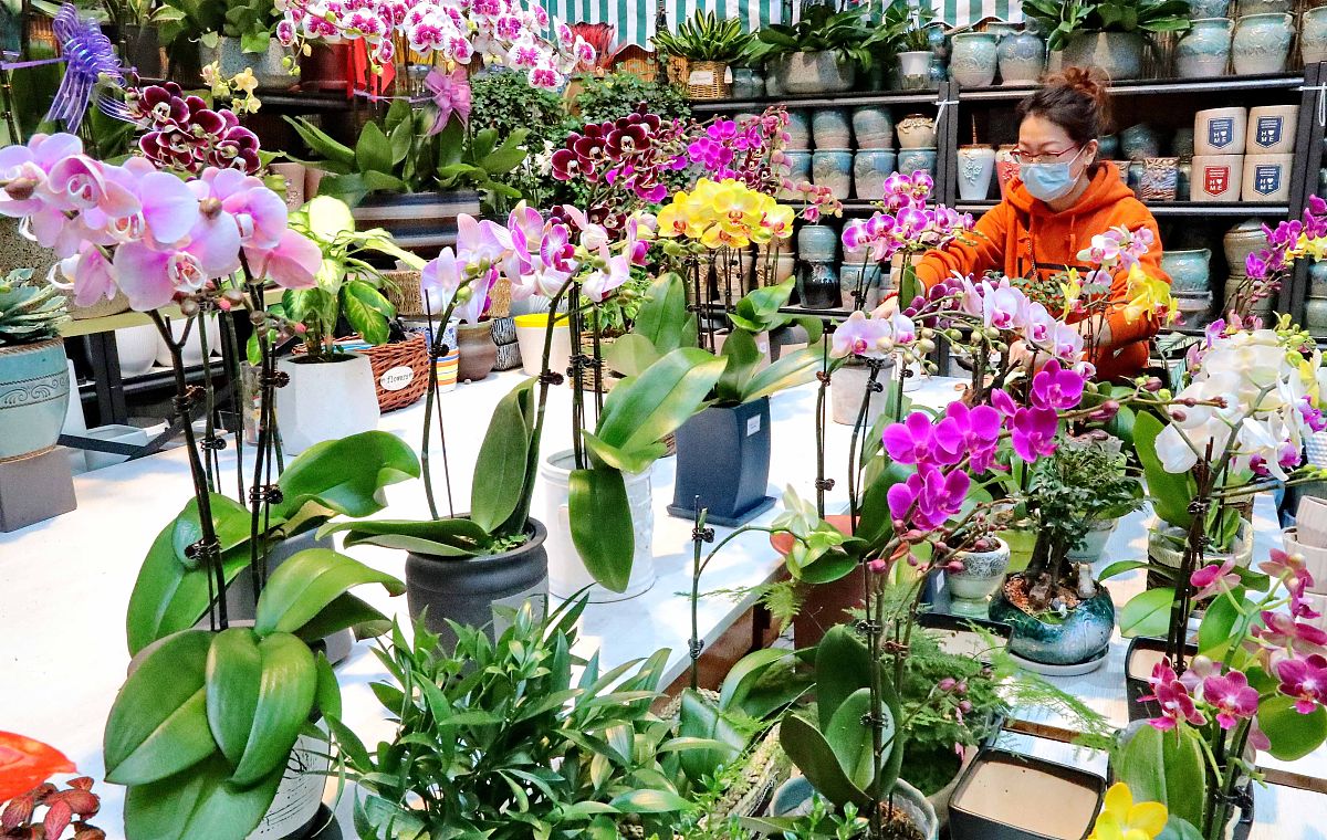 秦皇岛2022年卫校开设有哪些课程