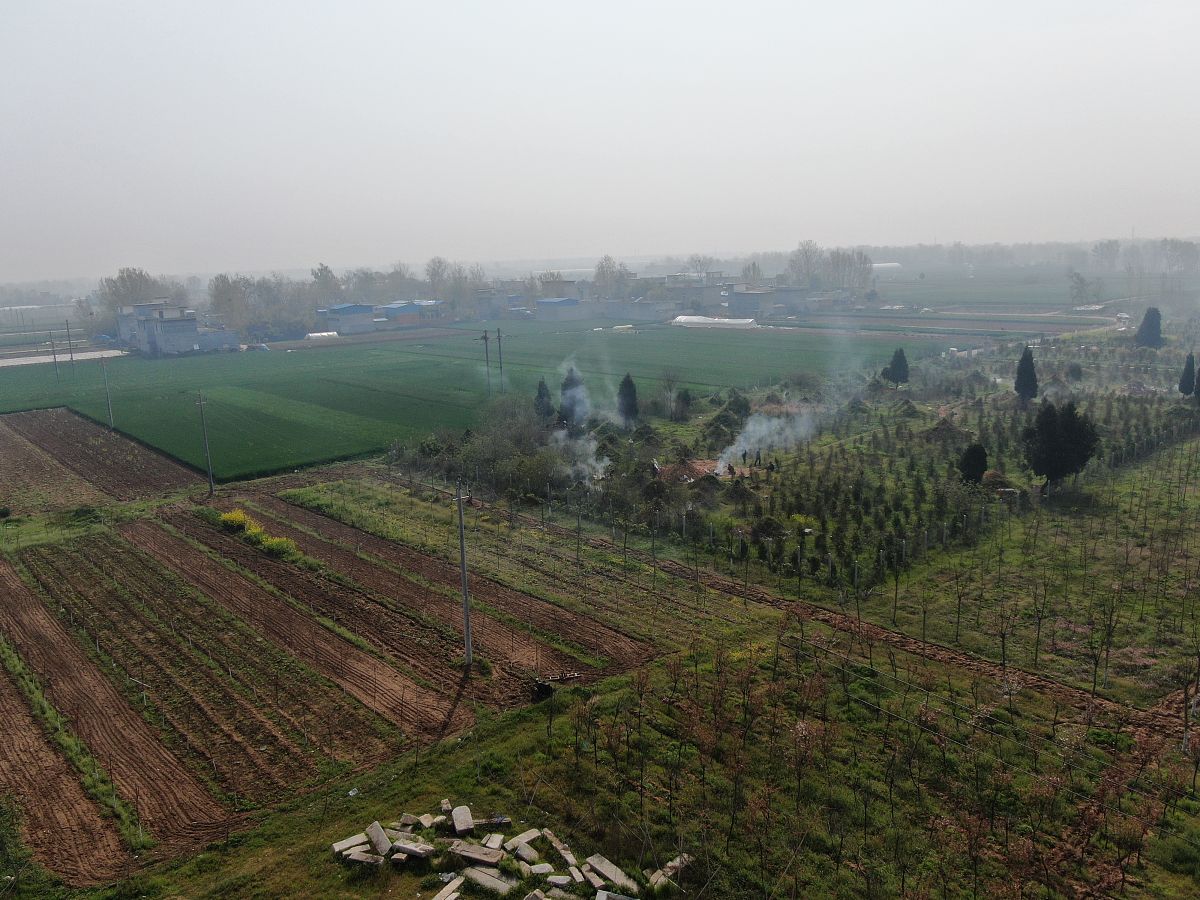 山西省朔州市应县大监河乡罗庄村委帮我用200字详细描述