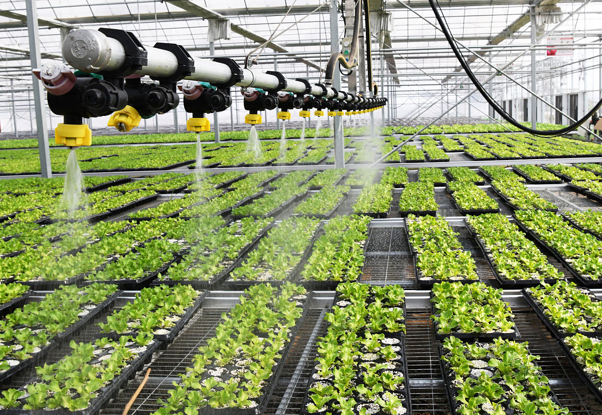 TechFarm：农业科技的未来，创新农业解决方案