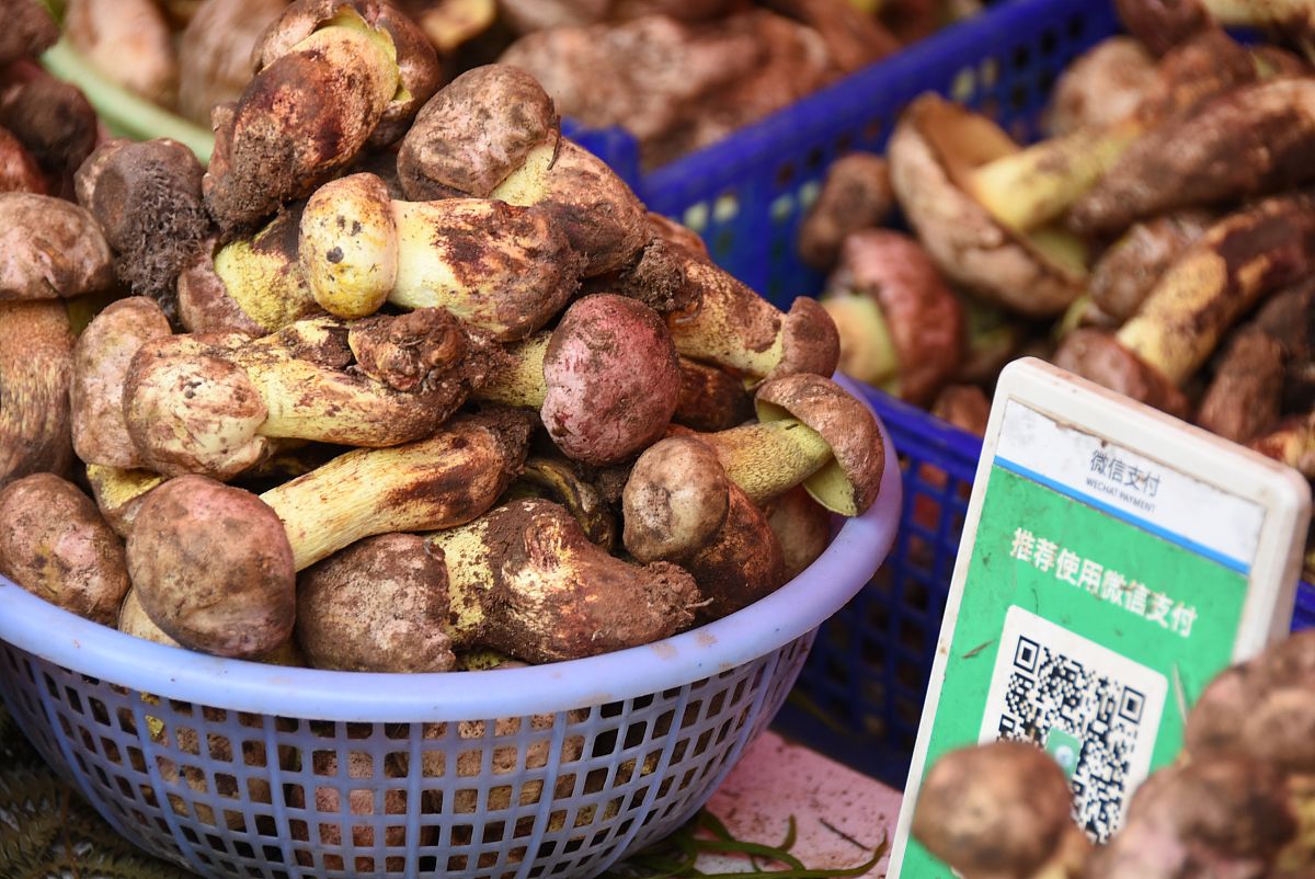 红河州财经学校2022年多少分能报考