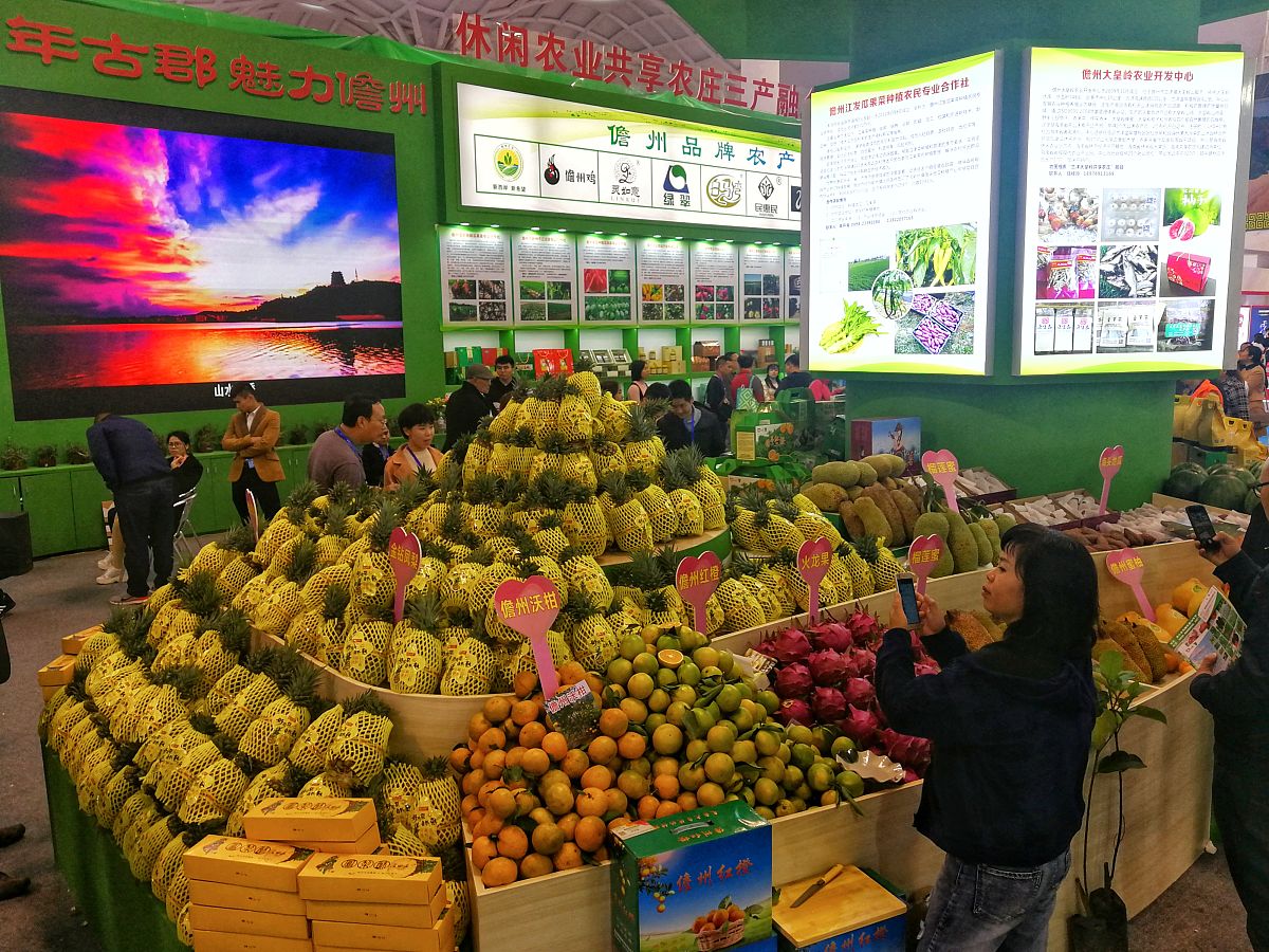 阐述300字：水果类节庆的旅游开发研究—以百色芒果田东芒果文化节为例的结论