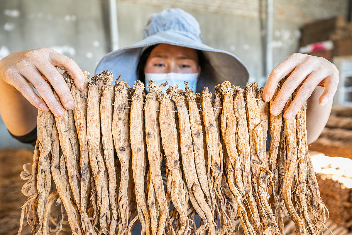 毕节威宁自治县中等职业学校2019年招生简章 - 报名指南