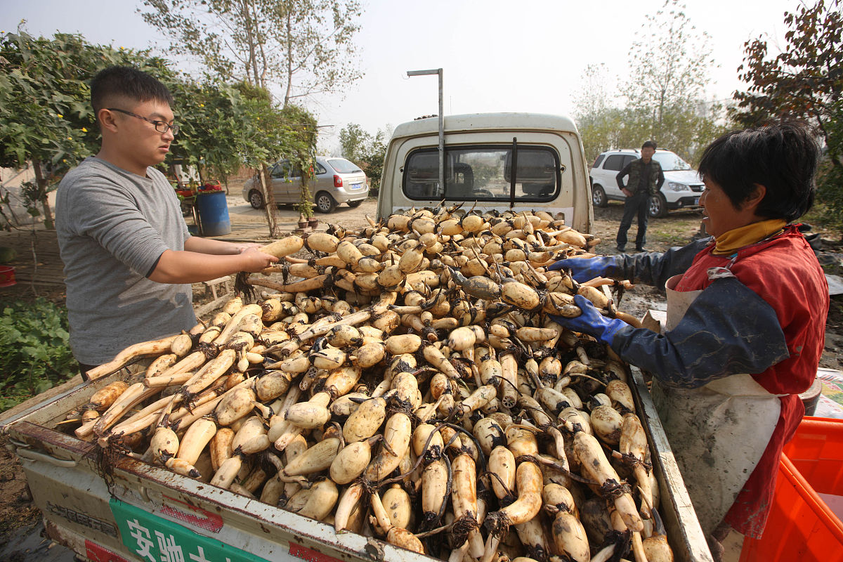 安徽2022年中专学校哪个专业比较好-怎么样