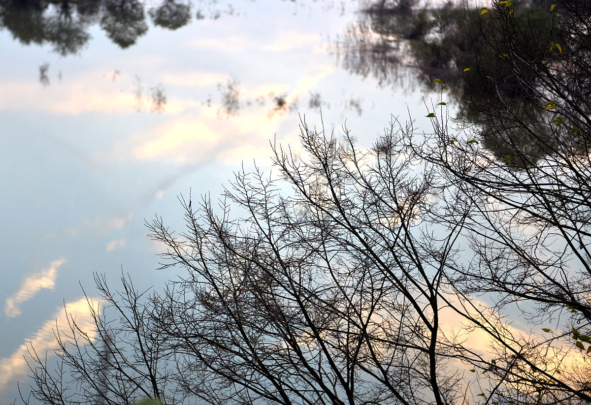 六安市裕安职业学校2021年招生简章 - 【官网】