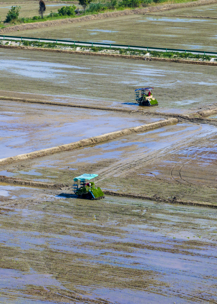 芜湖市前十名小学