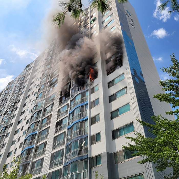 以新闻的口吻描述一起火灾