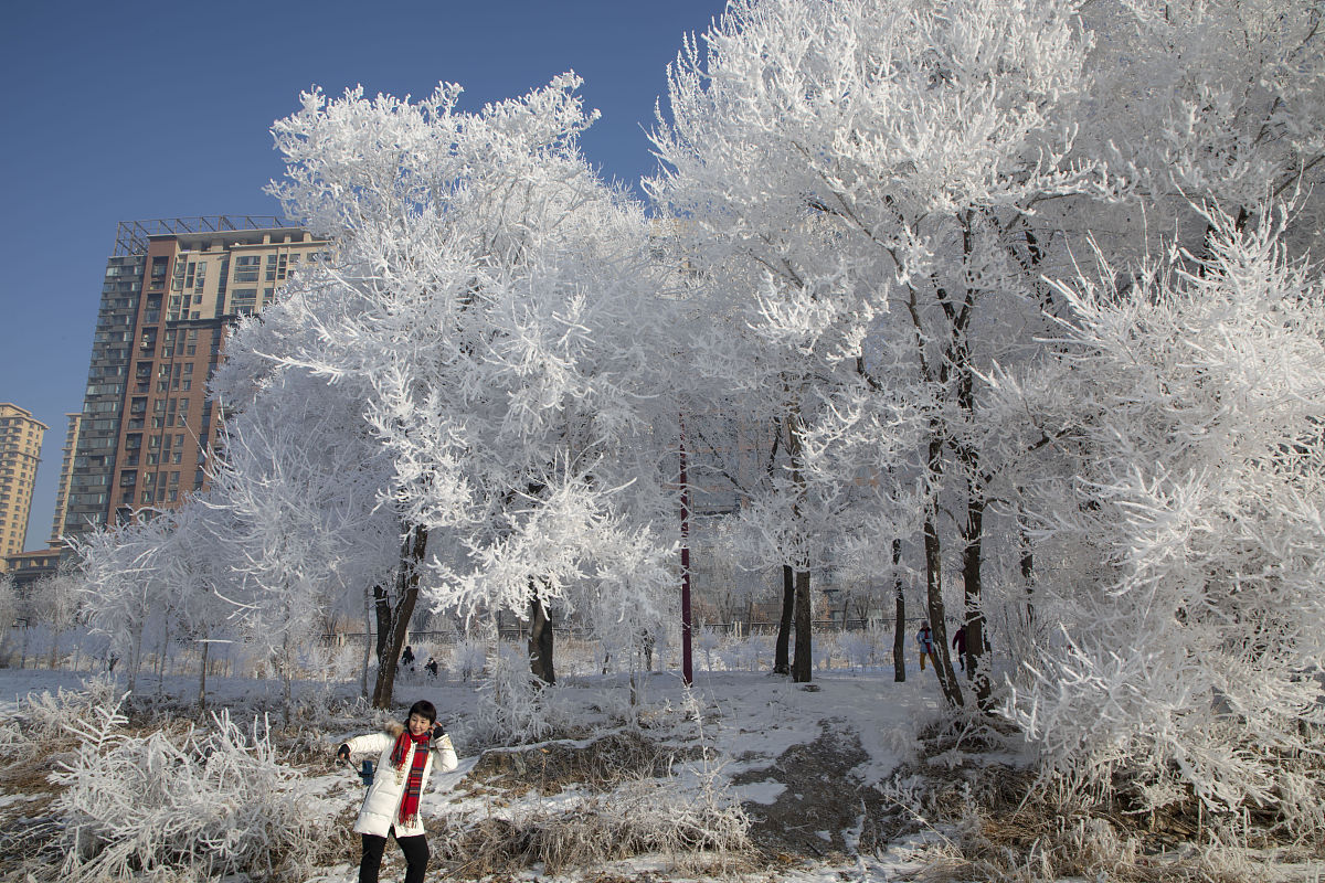 吉林财税高等专科学校简介 - 培养财税类专业人才的摇篮