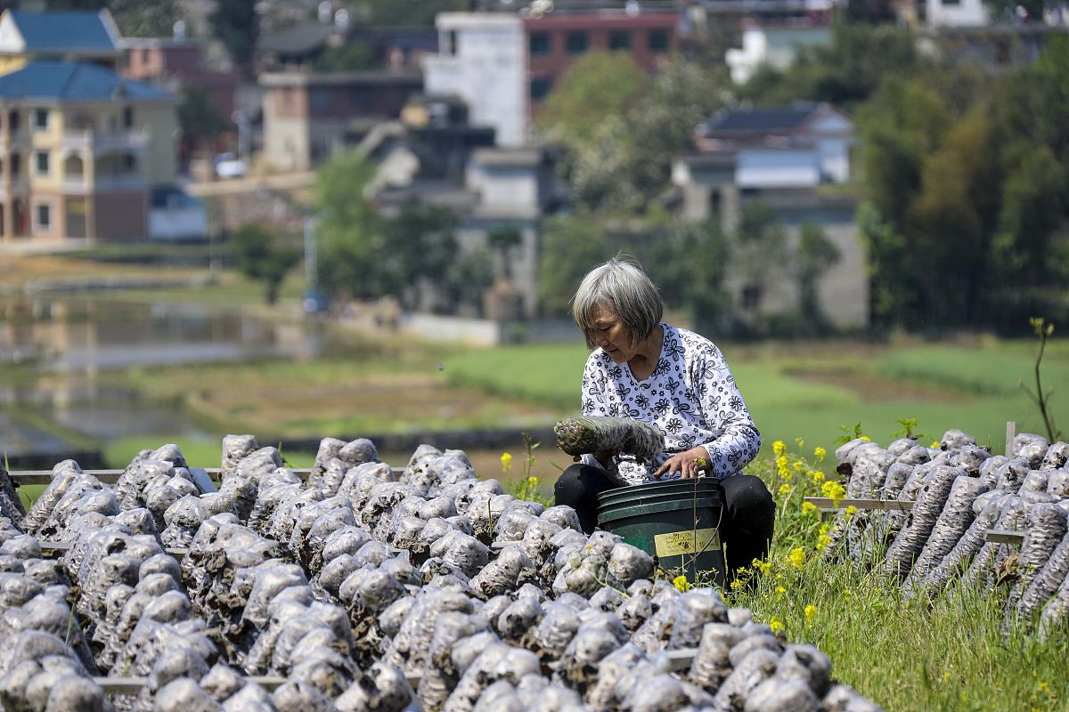 邵阳卫校2022年招生简章 - 报考条件、招生计划、录取分数线