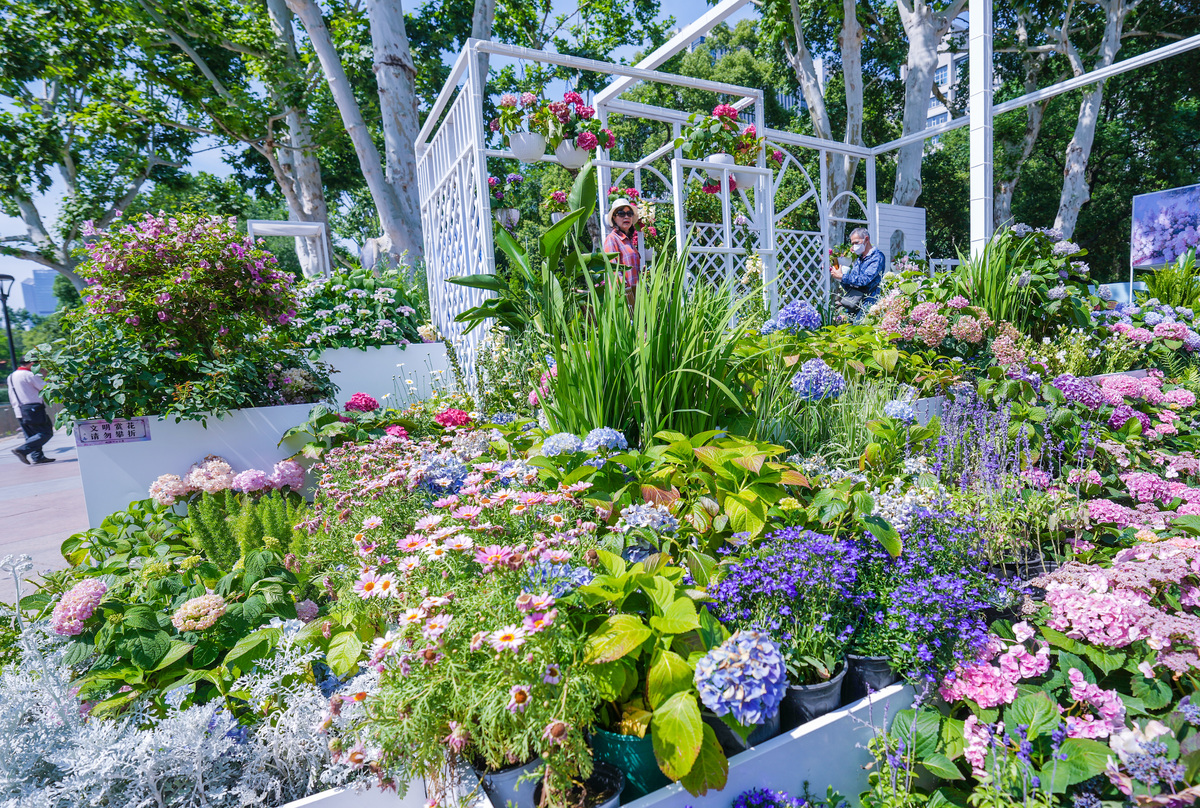 伦敦切尔西花展：历史、展品、观众及商业价值