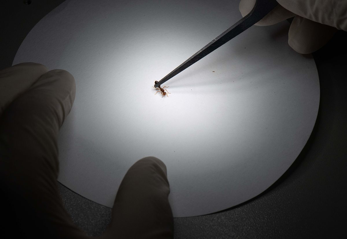 云南省曲靖农业学校2019年五年一贯制大专报名网