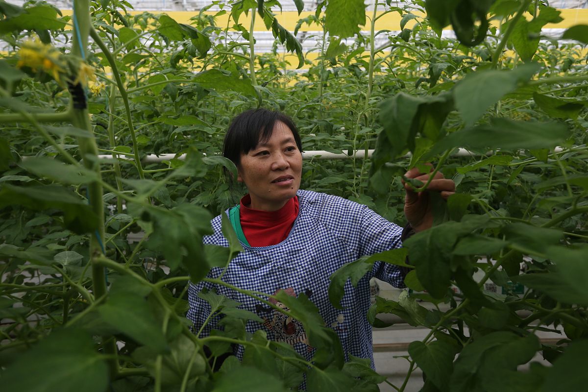 阜南农林科技学校2023年招生专业：如何选择适合你的专业？