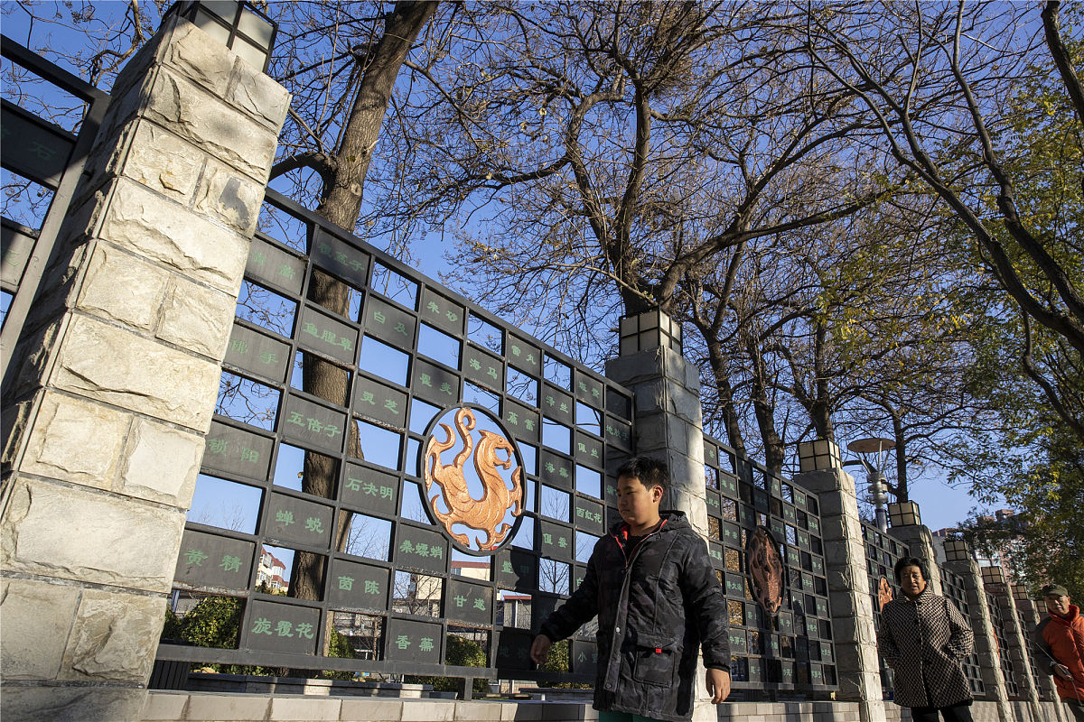 2020年11月29日,北京通州,行人从由中药名组成的围墙旁经过.