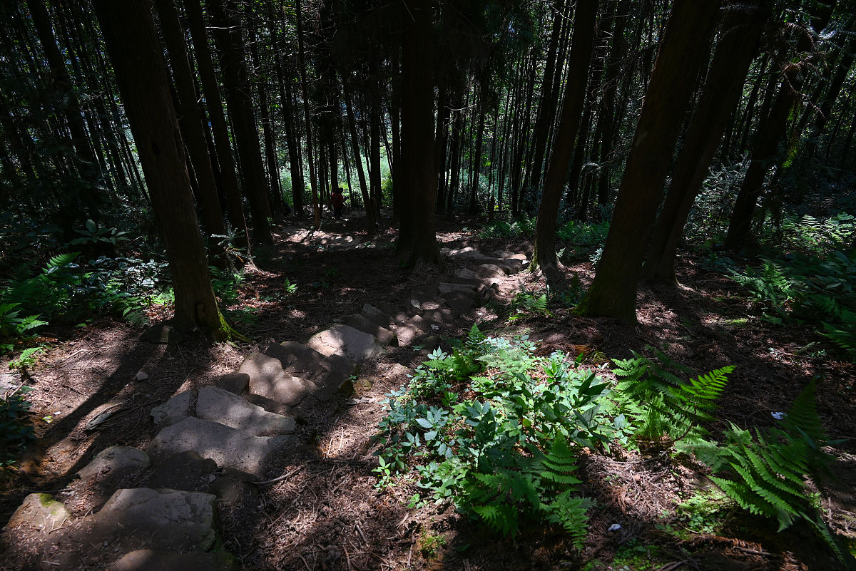 2021年9月21日,成都都江堰,赵公山.(如需下载 请署名 红星新闻 王勤)