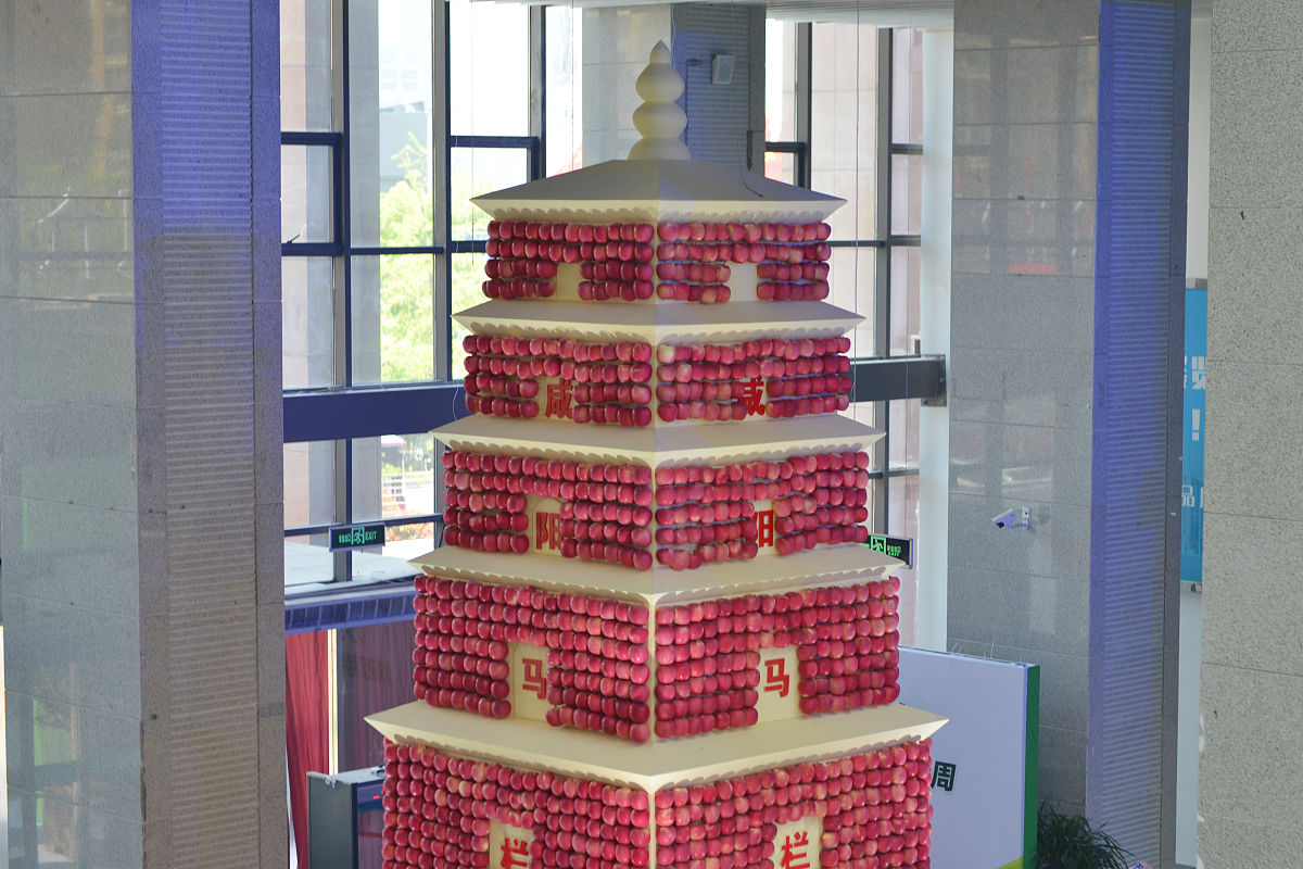 请为基于大模型的农作物疾病诊断和知识问答系统写一段背景分析描述我为什么会做这个项目？解释这个问题可以参考如下逻辑：首先是发现了某种场景；在这种场景下有一类用户遇到了一些难题也就是所谓的痛点；我们将针对用户的这些痛点给出有效的解决方案。