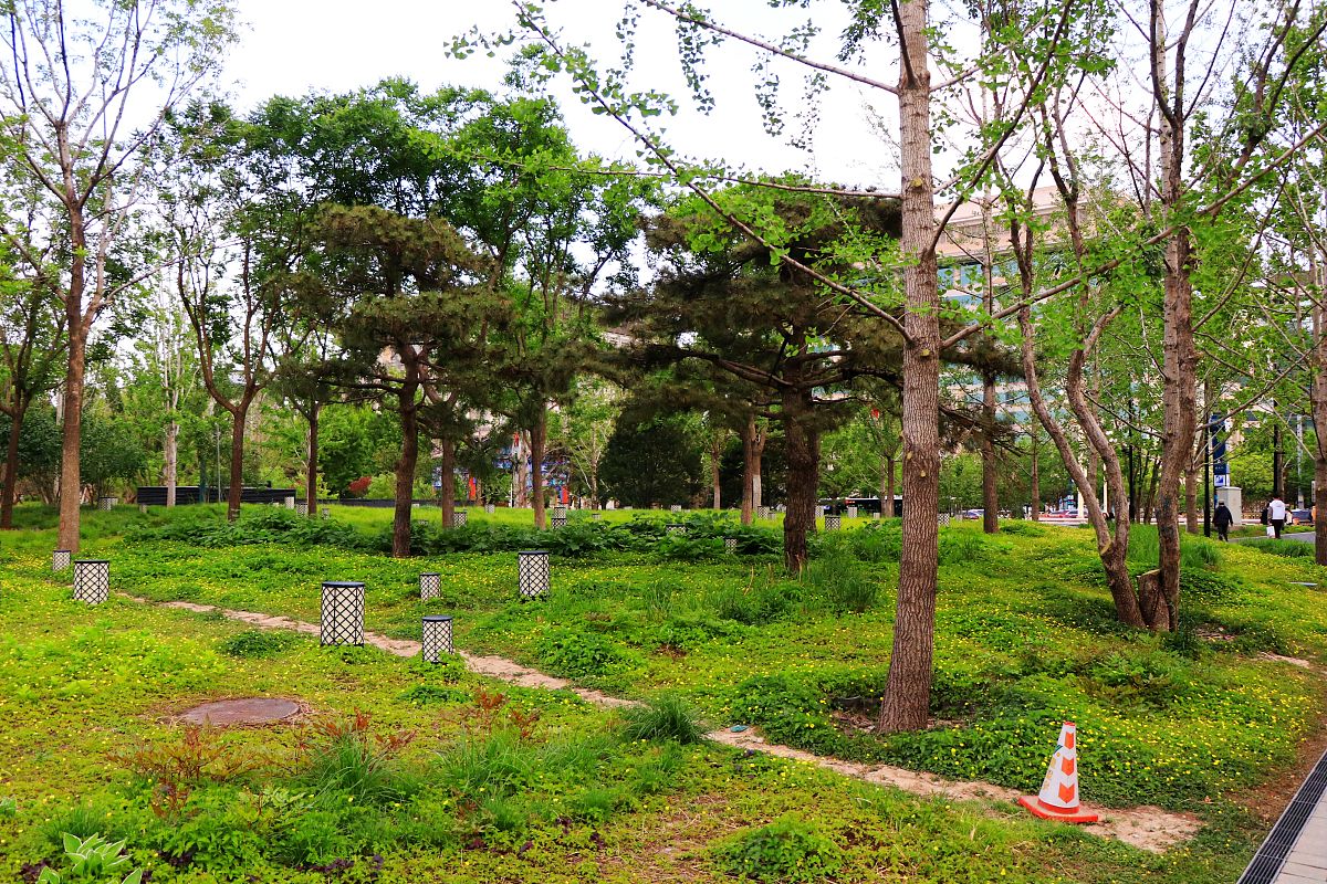 福建林业职业技术学院林业技术专业课程内容及就业前景