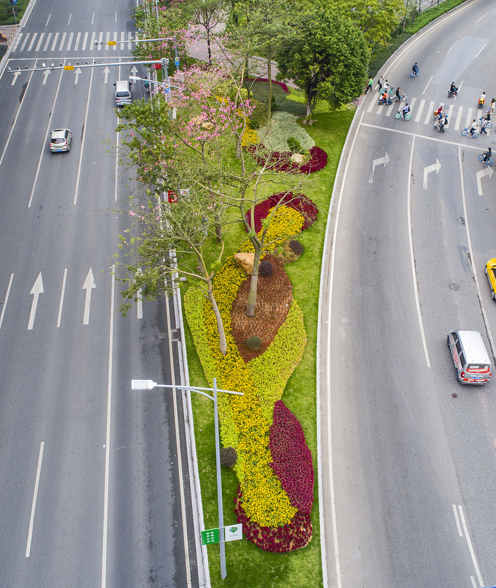 安徽铜陵西湖新区市政道路绿化带景观设计：提升城市形象的生态之美
