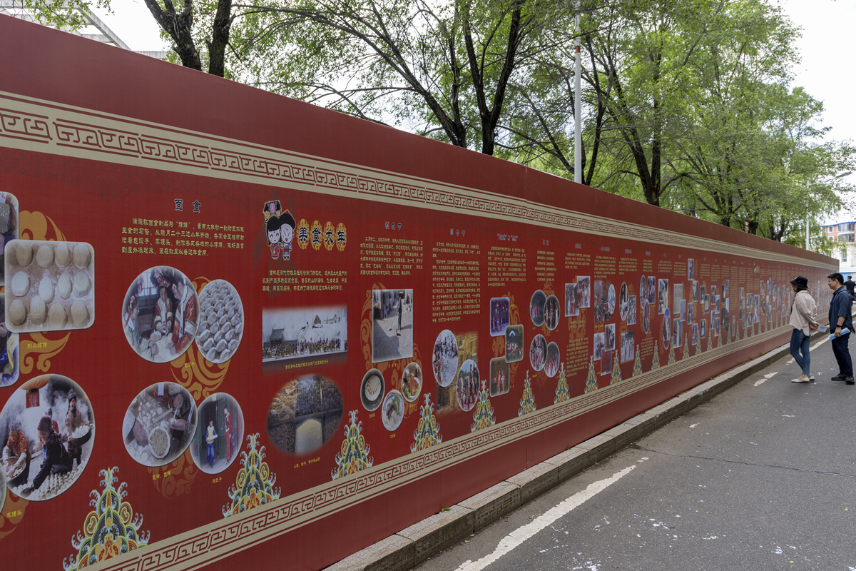 美丽校园摄影计划：展现校园魅力，提升学校形象