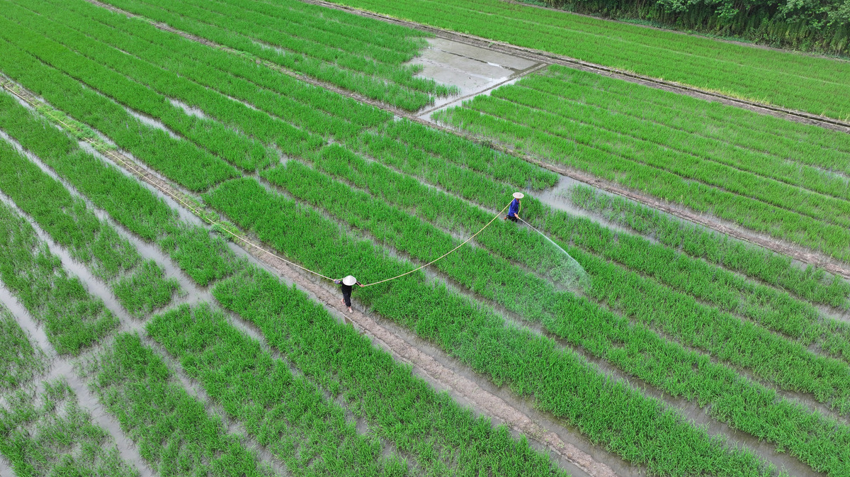中耕：提高土壤健康，促进作物生长
