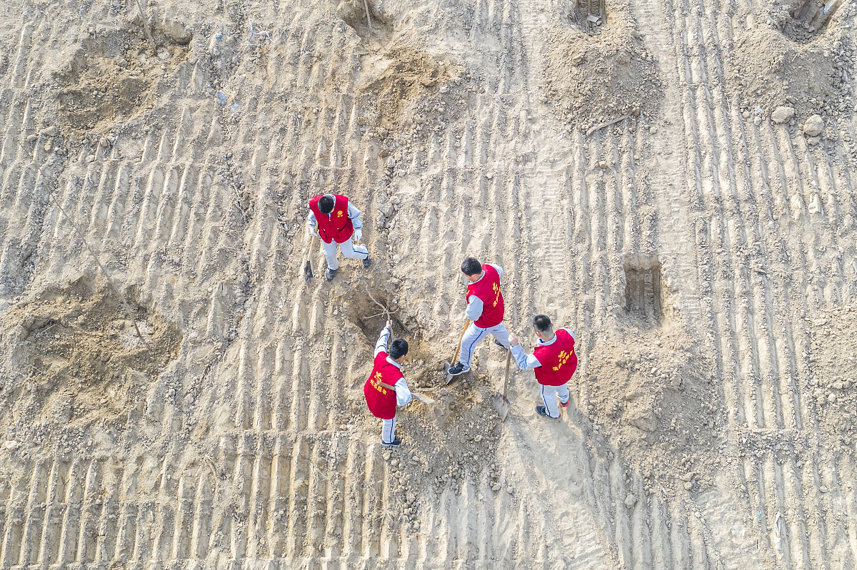 齐齐哈尔林业学校物流服务与管理专业介绍