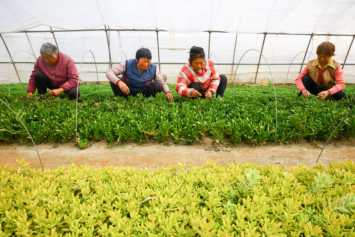 四川中专学校专业选择指南：2022年热门专业及未来发展趋势