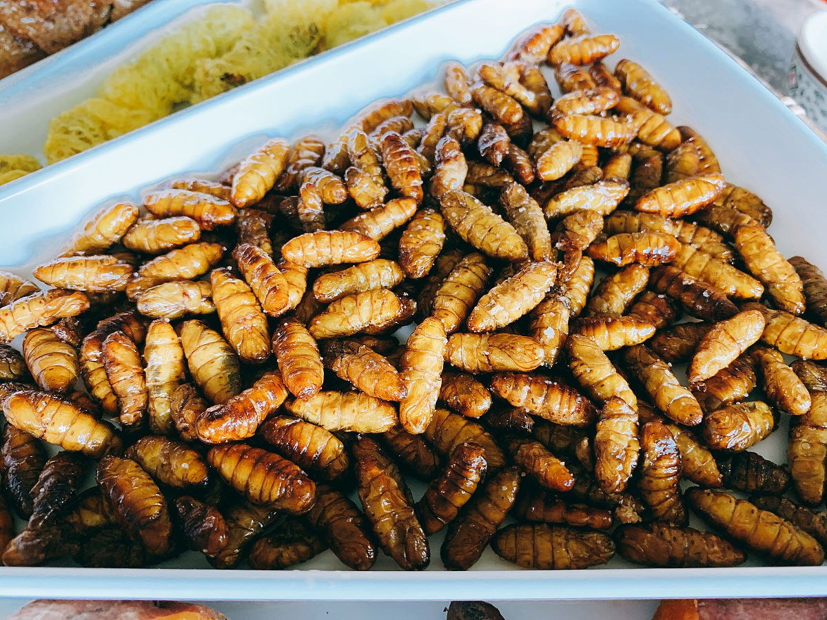 蜂蛹冻干片功效与作用：增强免疫力、体质，缓解过敏