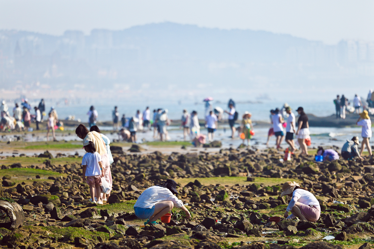 字仔山赶海最佳时间详细解答并扩展补充