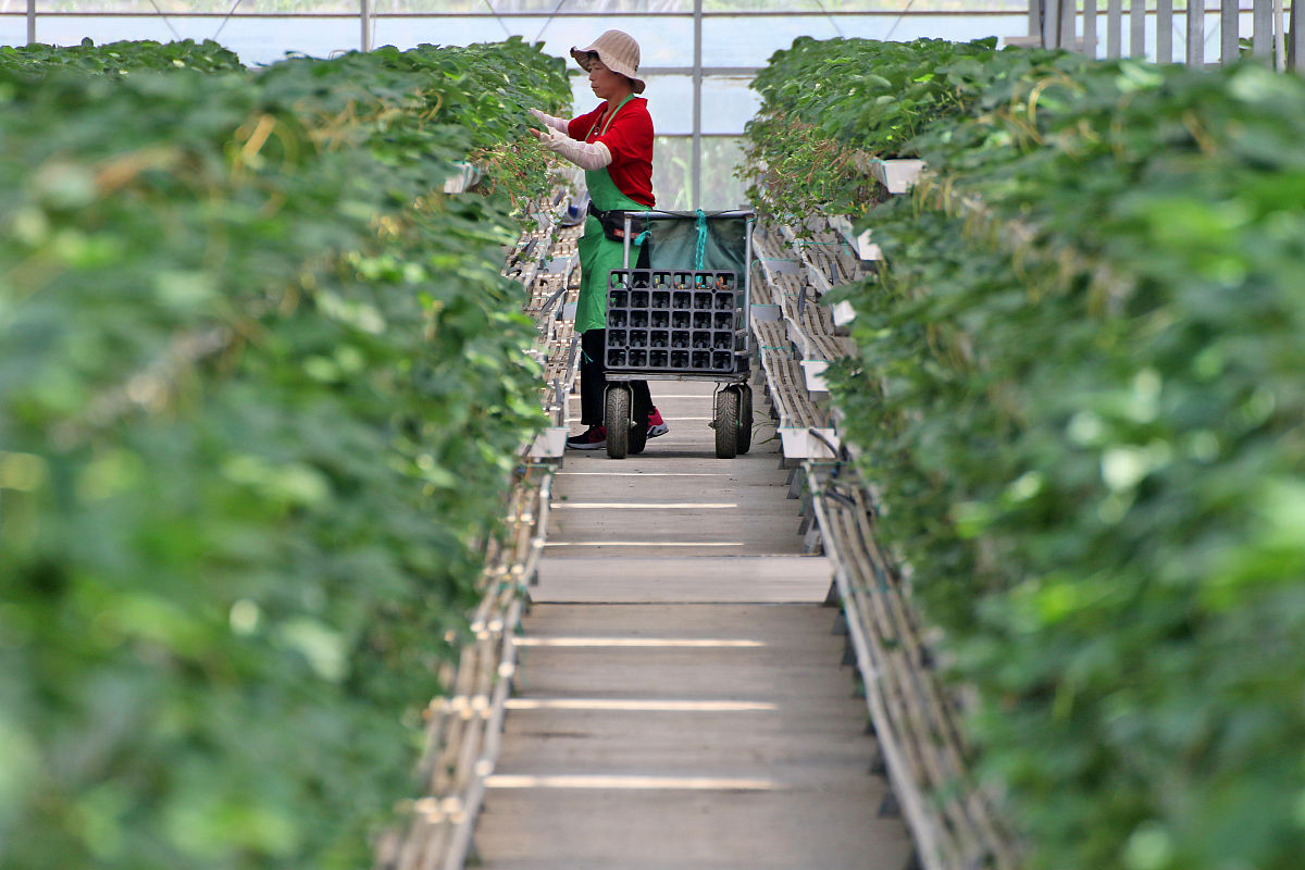芜湖信息科技学校2022年招生简章