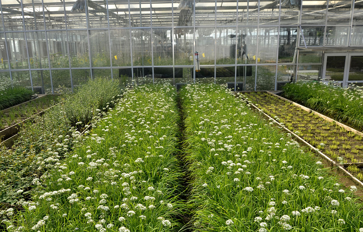 贵州农业机电学校招生专业有哪些？环境怎么样？