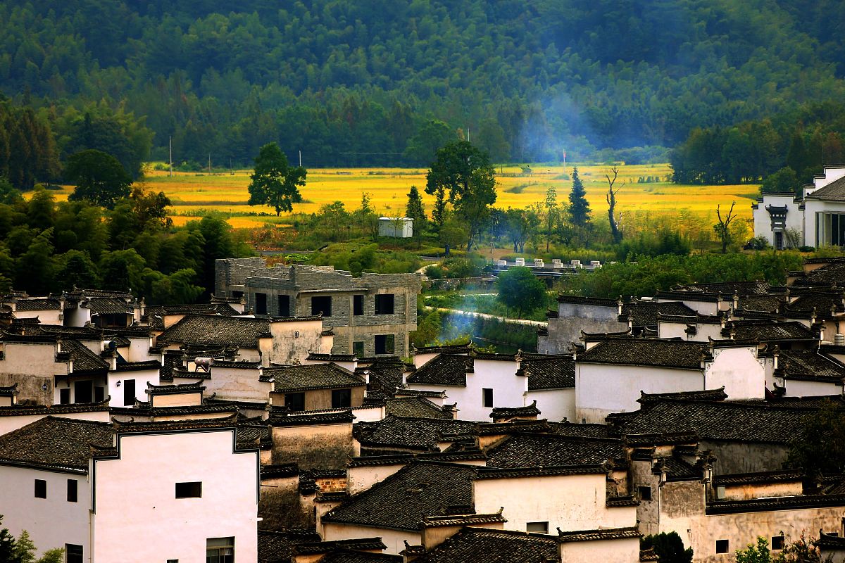 理解这一段话意思并用自己的话重新说不变： 引进和培养旅游电子商务的专业人才不但可以提高黄山旅游电子商务发展的整体水平也有利于鼓励大学生回乡创业发展经济。人才带技术和理论回乡黄山提高资金和发展平台是一种共赢的局面促进地区持续健康发展实现共同富裕。