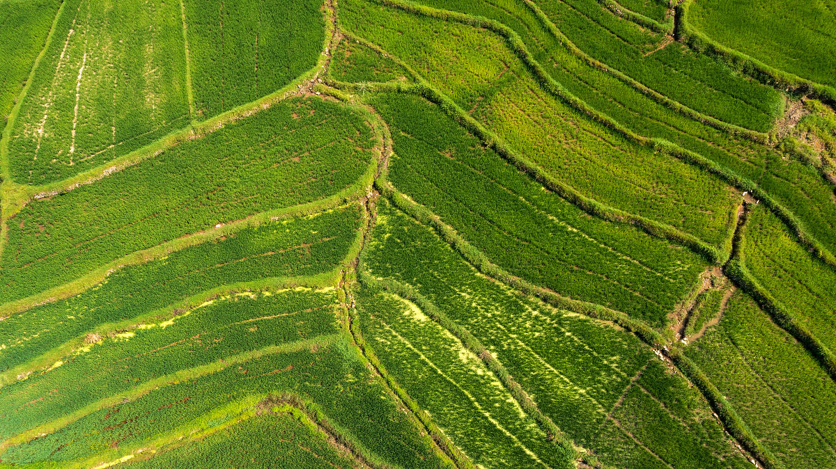 绿色乡村：一首表达环保的中文乡村歌曲