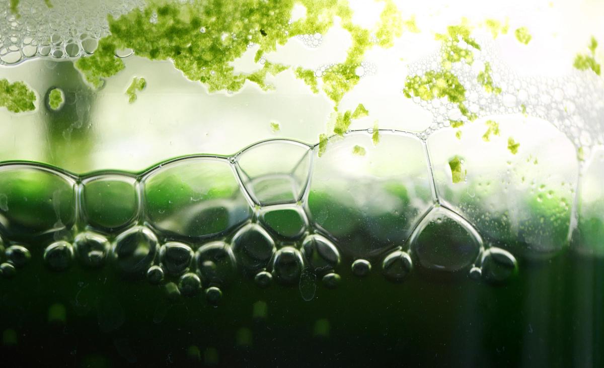 2023年武汉文理学院招生简章