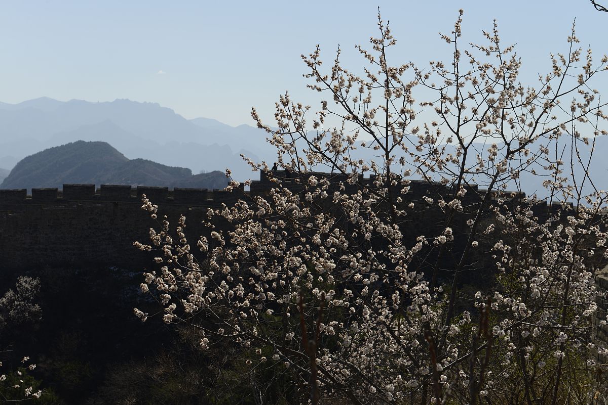 滦平职教中心2023年地址在哪里