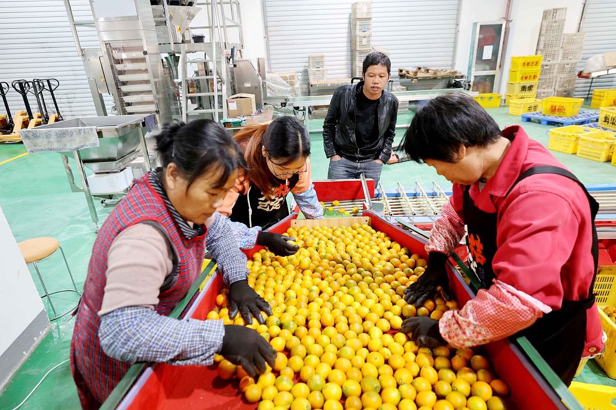 广西轻工技师学院物流技术专业怎么样？优势与不足解析