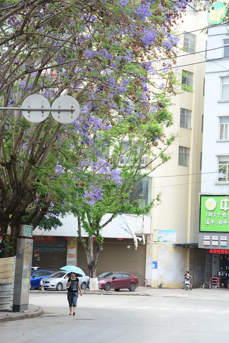 云南文山农业学校现代农业技术专业招生学制详解