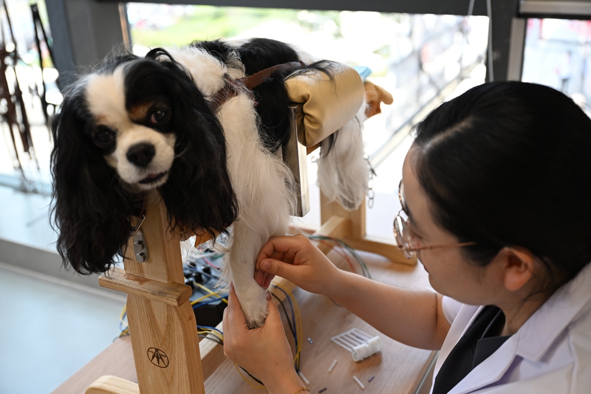 四川省绵阳农业学校宠物养护与经营专业到底行不行设有哪些课程