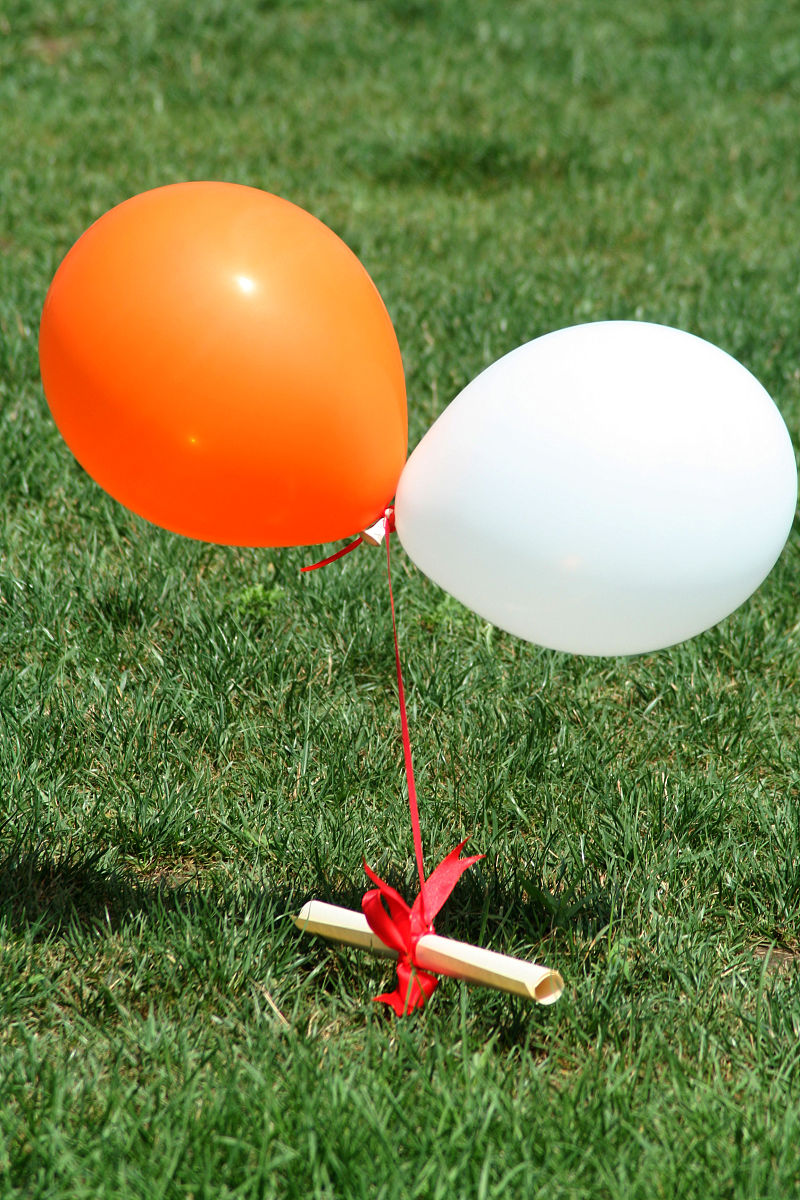 2019年贵阳医学院神奇民族医药学院招生简章 - 培养民族医药人才，传承中医文化