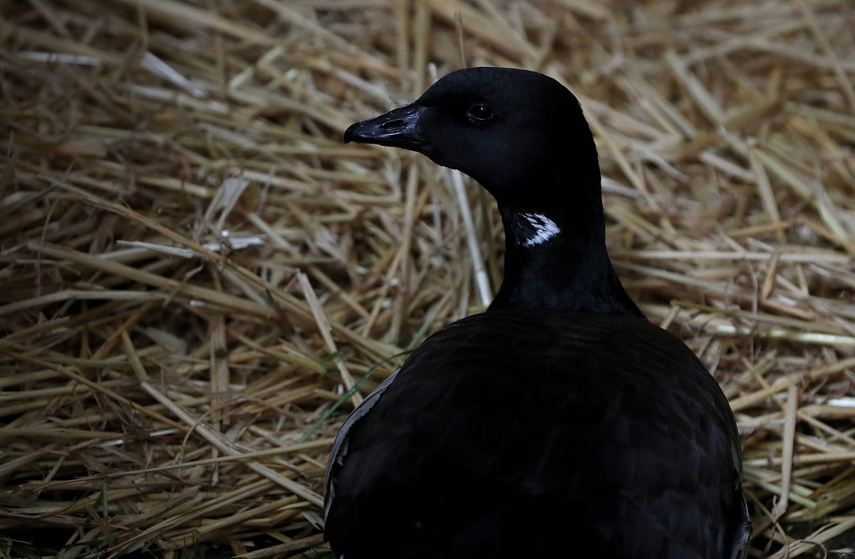 贵阳医学院康复治疗学专业怎么样？就业前景、师资力量、教学质量全面解析！