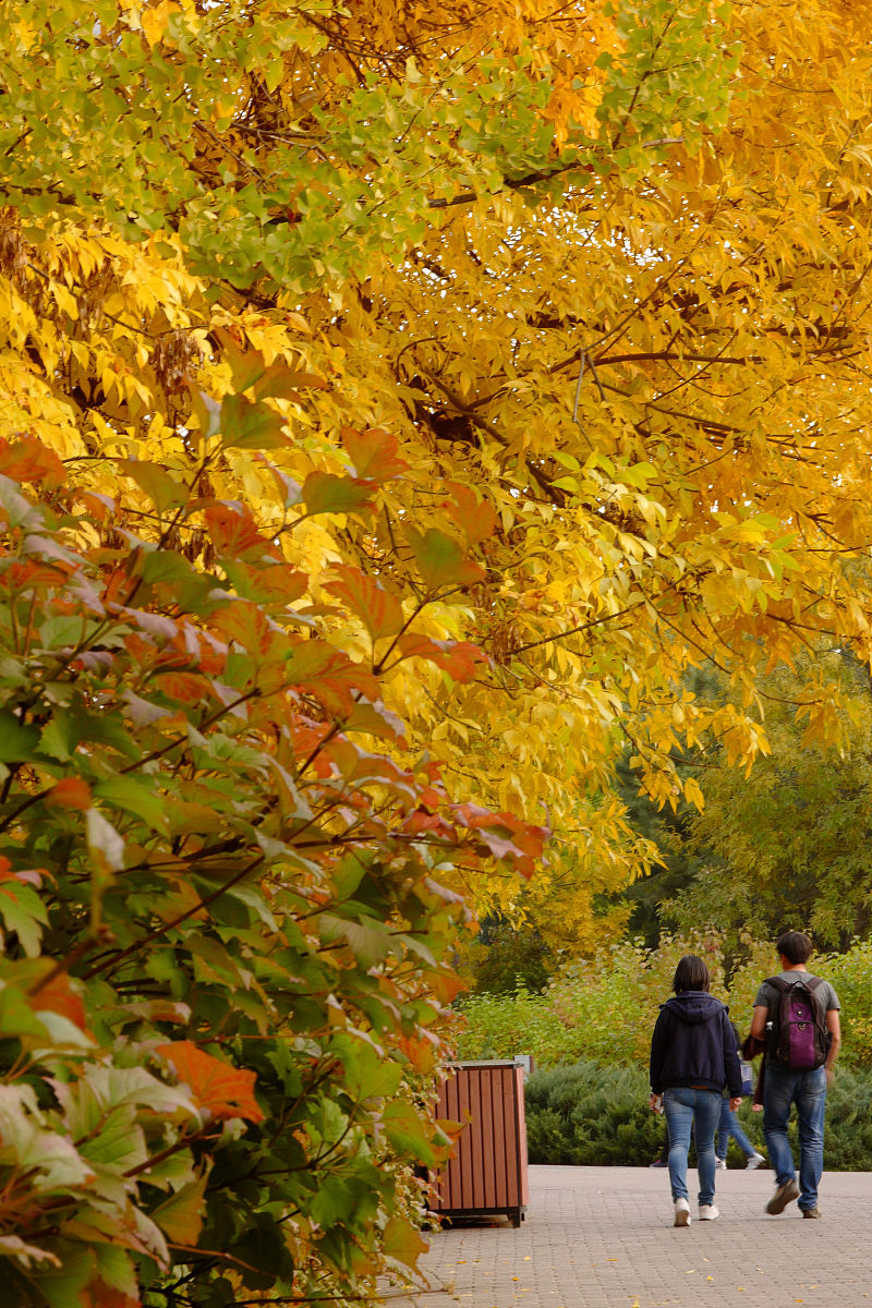 共赴美好用文言文表达