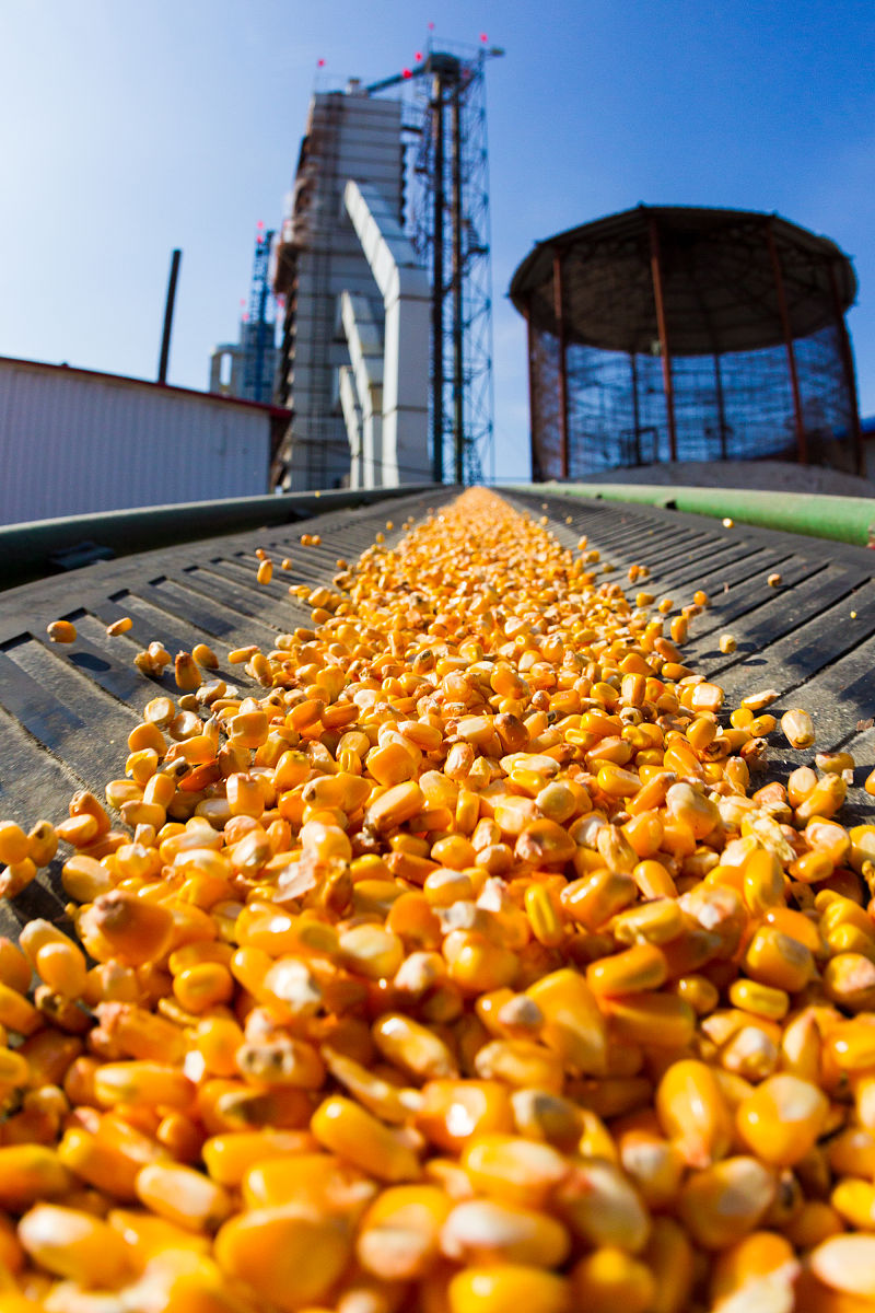 黑龙江粮食职业学院服装设计专业怎么样