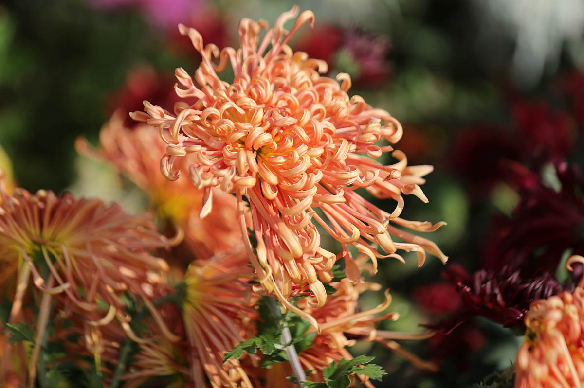 山东水利职业学院电子商务专业：就业前景、课程设置及学习建议