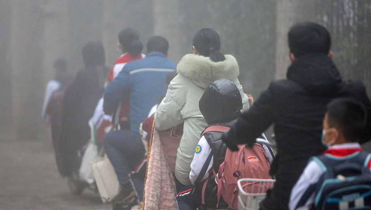 小学生作文：我的上学路，充满快乐和知识