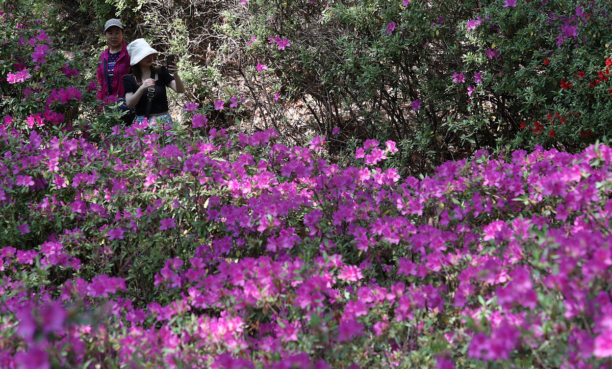 昆明2022年什么卫校最好就业