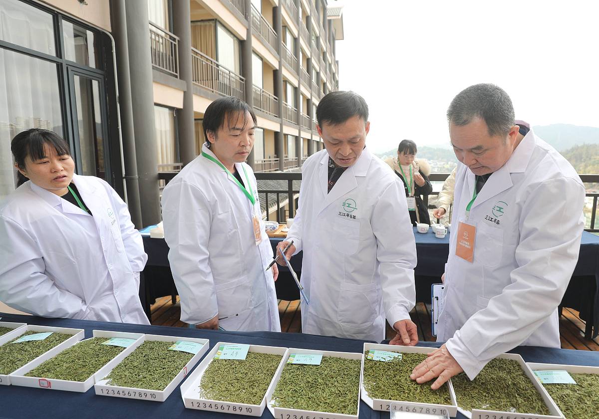 沿河县中等职业学校一般有哪些专业茶叶生产与加工专业就业方向如何