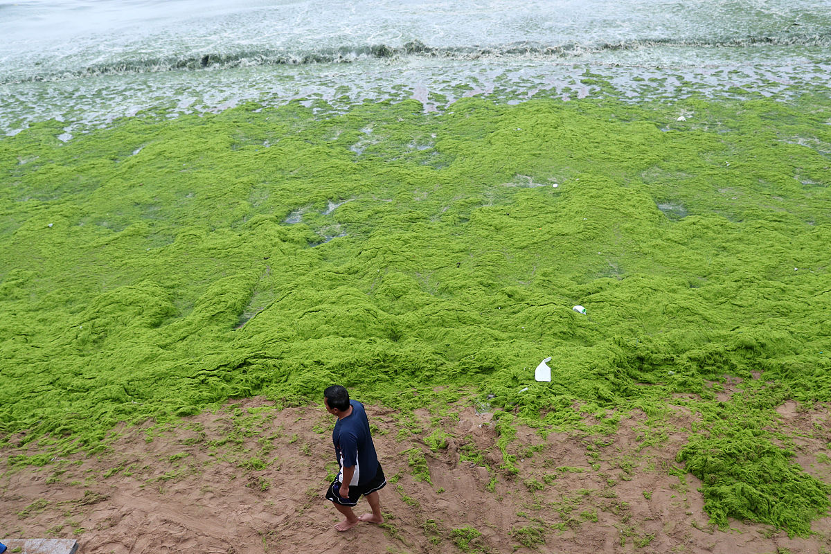 生态环境保护不足：由于城市化进程加快青岛市的生态环境受到了很大的影响尤其是水污染和空气污染问题突出。同时市民对环境保护的意识还不够强烈导致环境问题得不到有效解决。